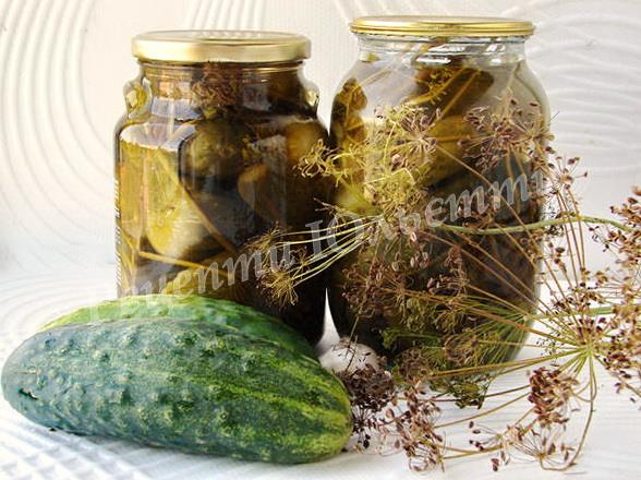 Скільки потрібно солі на 1 літрову банку огірків